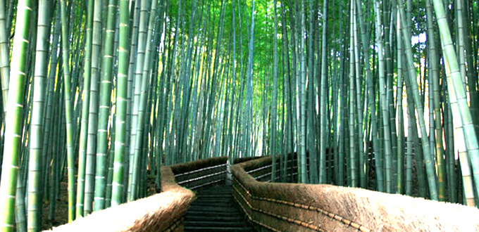 /area_info/nishikyo/arashiyama/images/img_are_01.jpg