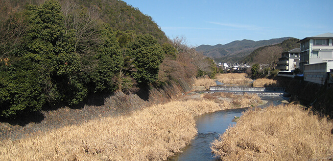 高野川