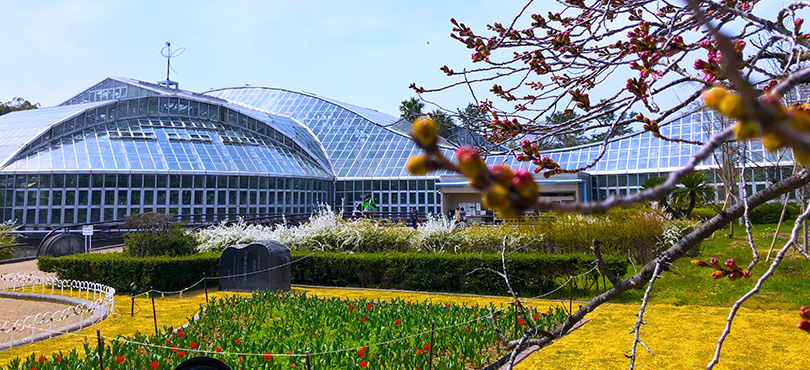 京都府立植物園