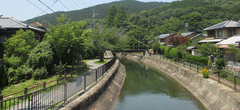 山科疎水