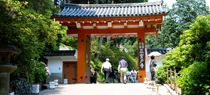 三室戸寺