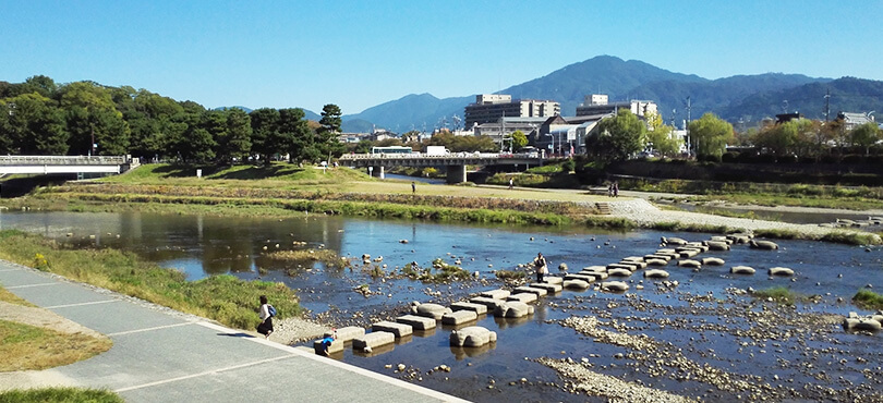 京都大学