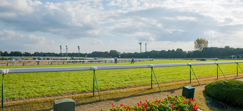 京都競馬場