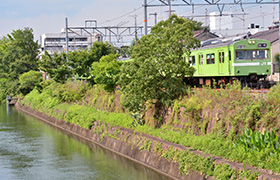 【奈良線周辺にある賃貸物件の家賃相場】奈良線沿線で歴史やグルメを体験しよう