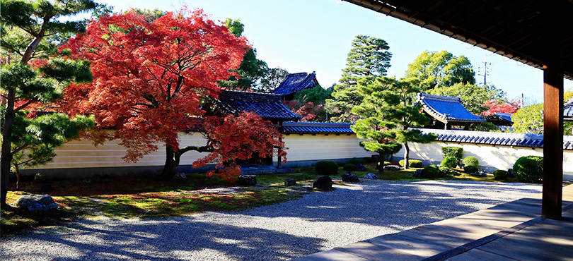 妙心寺