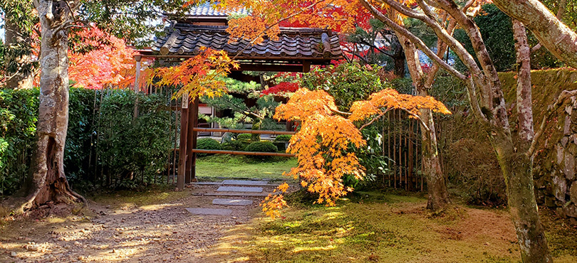 京田辺のお寺