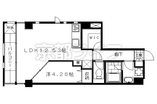 1LDK：洋4.28×LDK12.53（41.16㎡）
