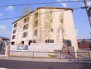 S-COURT