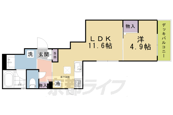 ■1LDK：洋4.9×LDK11.6(41.75㎡)