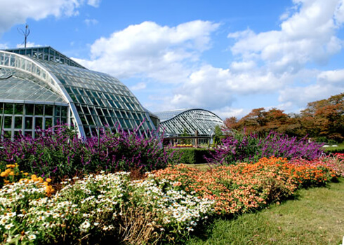 京都府立植物園