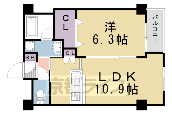 ■1LDK：洋6.3×LDK10.9(41.35 ㎡)