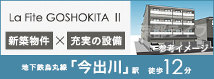 La Fite GOSHOKITA Ⅱ