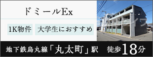 ドミールEx