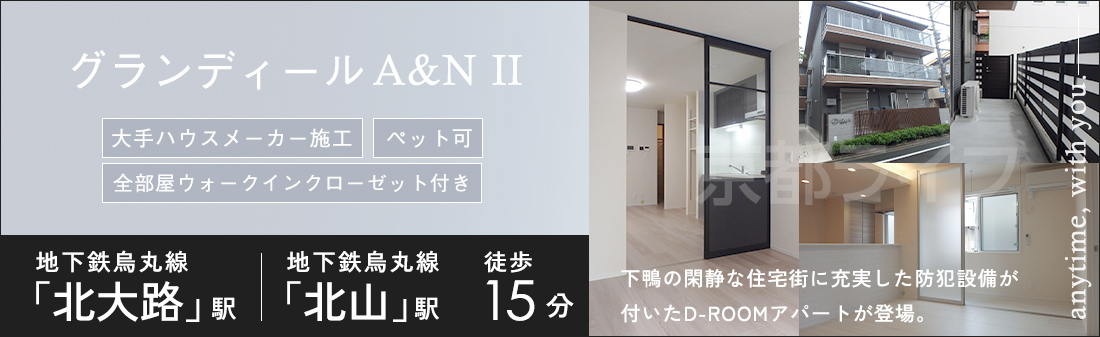 グランディールA＆N II
