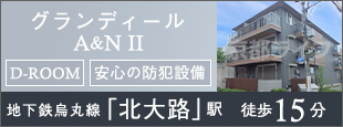 グランディールA＆N II