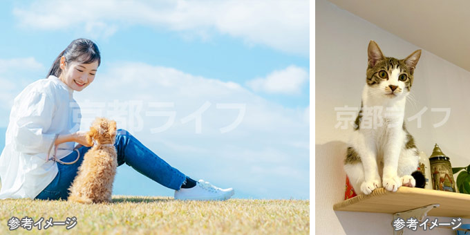 ペットと暮らせる新築分譲マンション