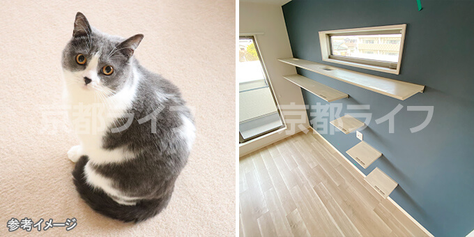 猫と暮らしたい方に。リビングにキャットウォーク付き！