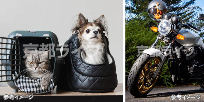 ペットと暮らせる2026年2月完成予定のマンション