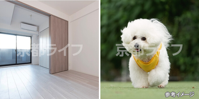 ペットと暮らせる分譲賃貸